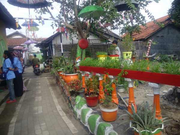 hasil partisipasi warga dalam gotong royong pembuatan kebun