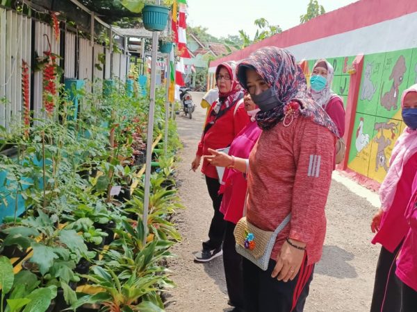 Kebun Cantik hasil gotong royong masyarakat
